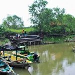 Wisata Alam  Mangrove Wonorejo yang Ngehits di Surabaya