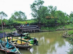 Wisata Alam  Mangrove Wonorejo yang Ngehits di Surabaya