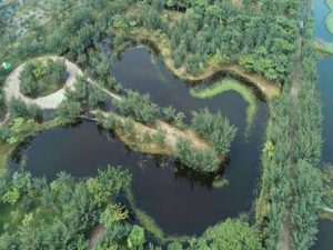 Hutan Kota Pakal, Surabaya Barat yang Ngehits