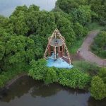Taman Wisata Hutan Mangrove Gunung Anyar