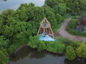 Taman Wisata Hutan Mangrove Gunung Anyar