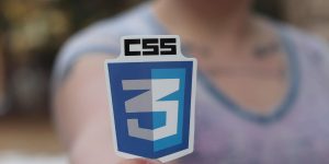 Framework CSS: Membangun Tampilan Web dengan Lebih Efisien